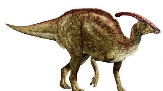 Resultado de imagen de parasaurolophus